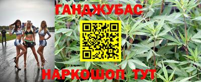 прущие крисы Будённовск