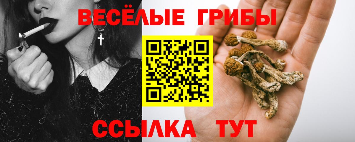 Галлюциногенные грибы мухоморы  Вход с VPN  как найти закладки  Усть-Кут 